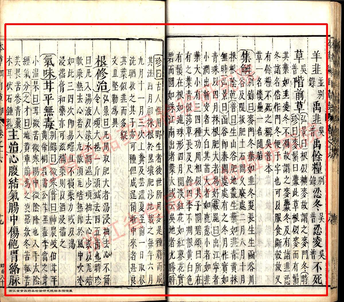 麦冬 明-《本草纲目》 资料图