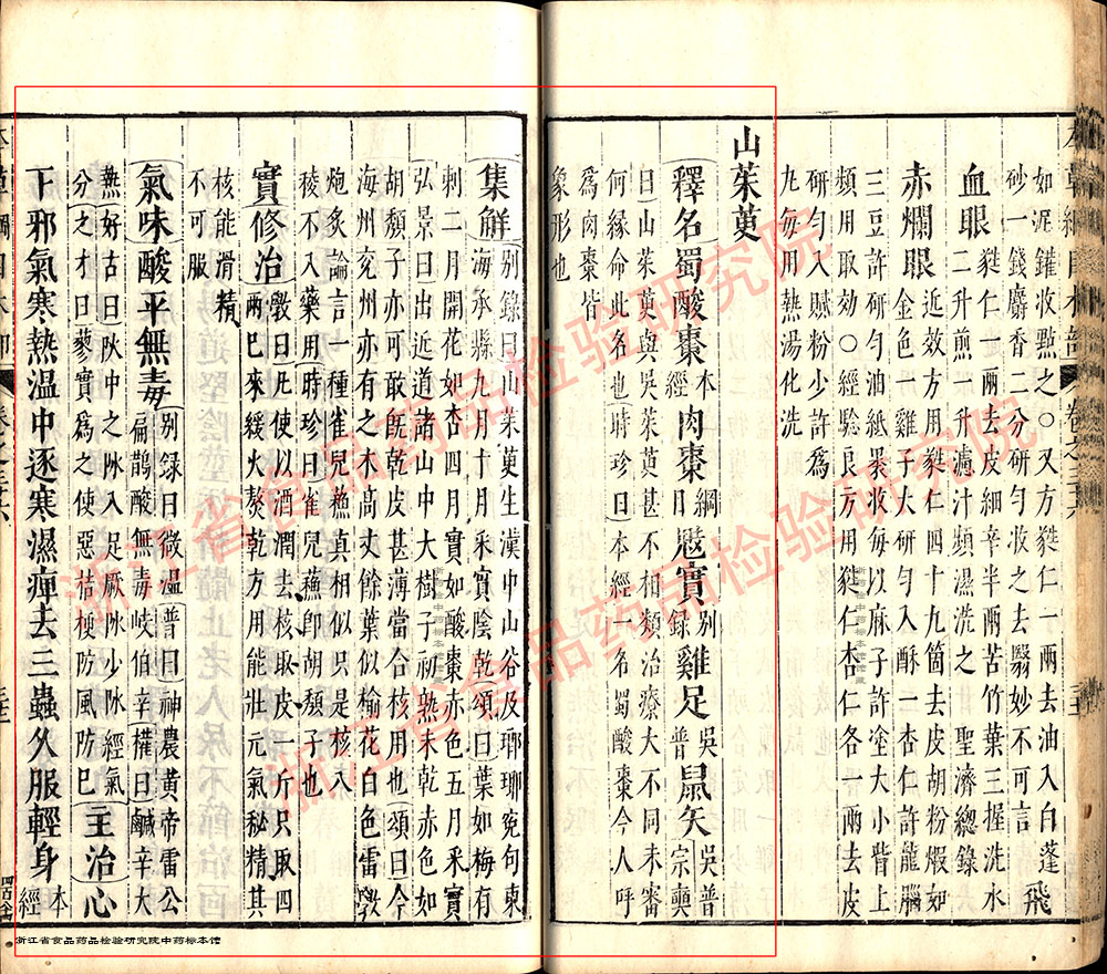 山茱萸 明 《本草纲目》 资料图