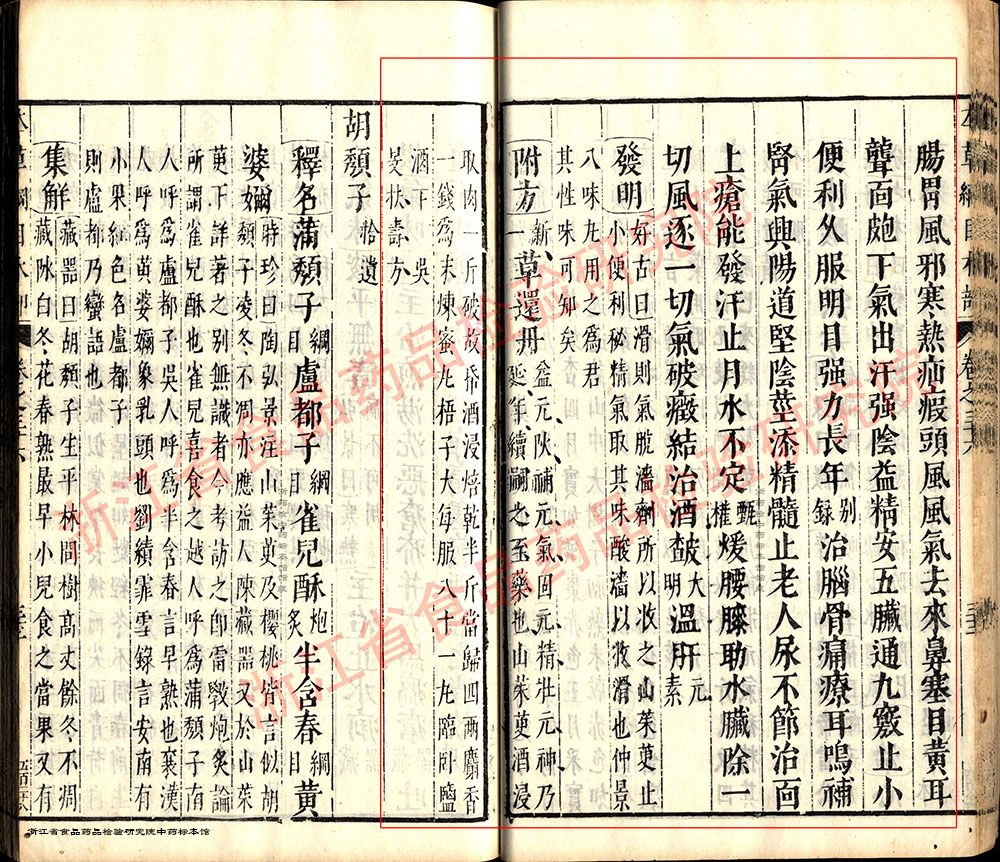 山茱萸 明 《本草纲目》 资料图