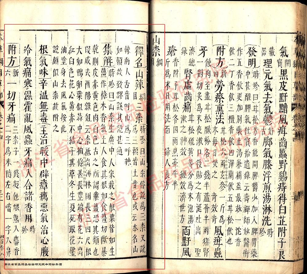 山柰 明 《本草纲目》 资料图