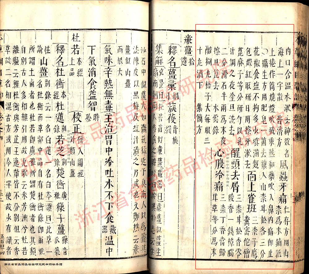山柰 明 《本草纲目》 资料图