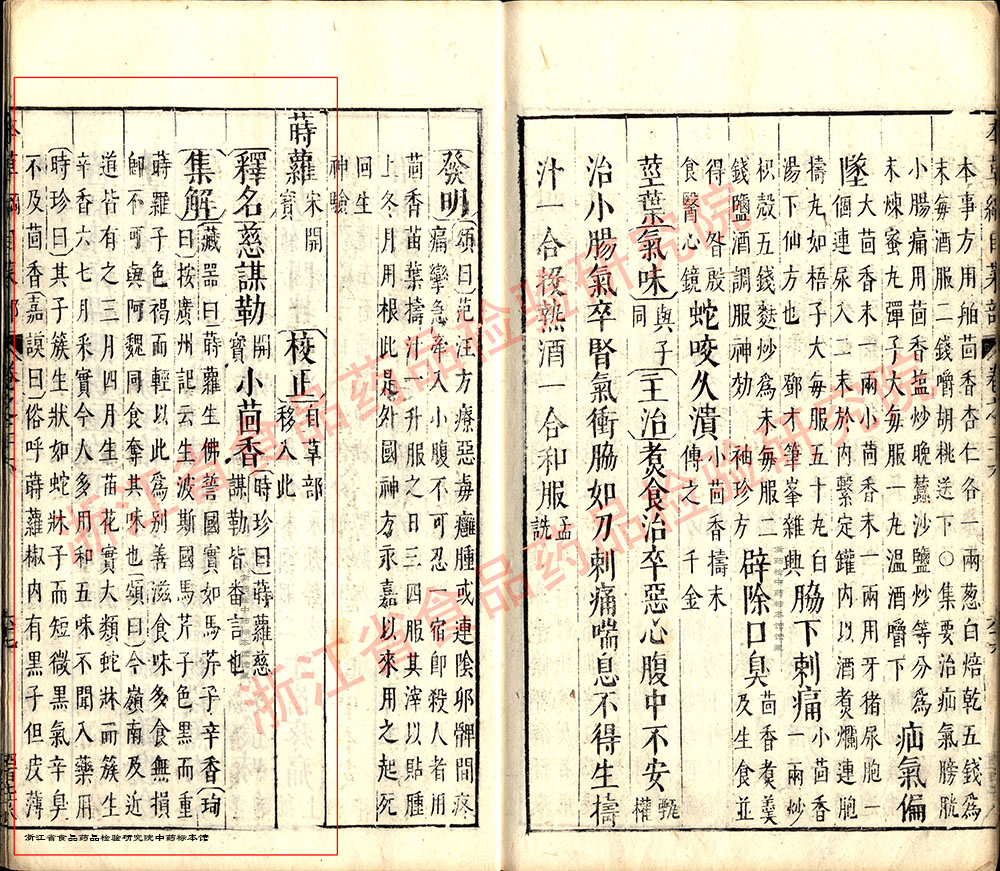 小茴香 明 《本草纲目》 资料图