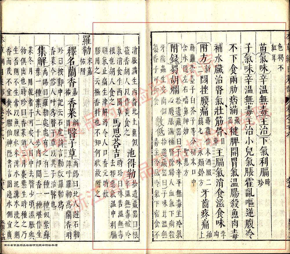 小茴香 明 《本草纲目》 资料图