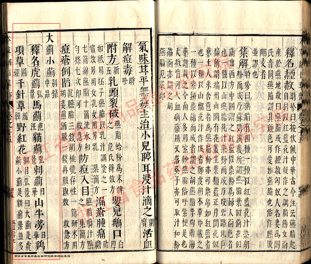 小蓟 明 《本草纲目》 资料图