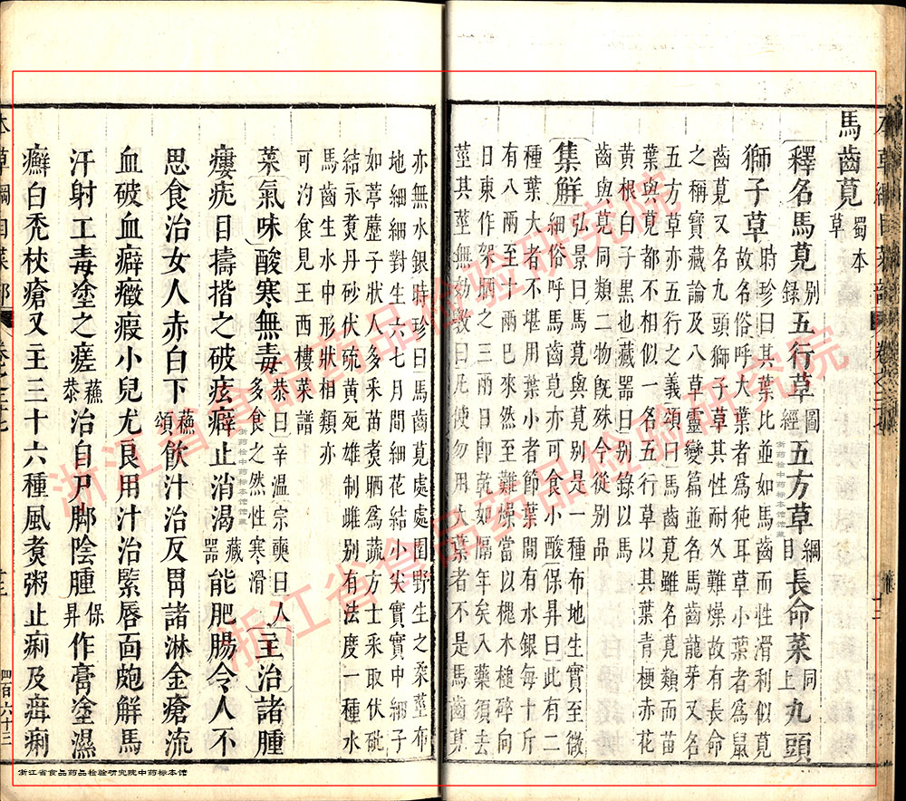 马齿苋 明- 《本草纲目》 资料图