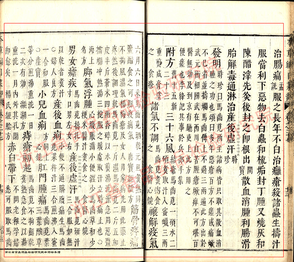 马齿苋 明- 《本草纲目》 资料图