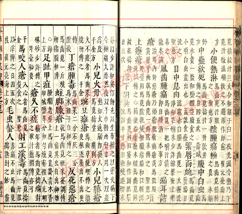 马齿苋 明- 《本草纲目》 资料图