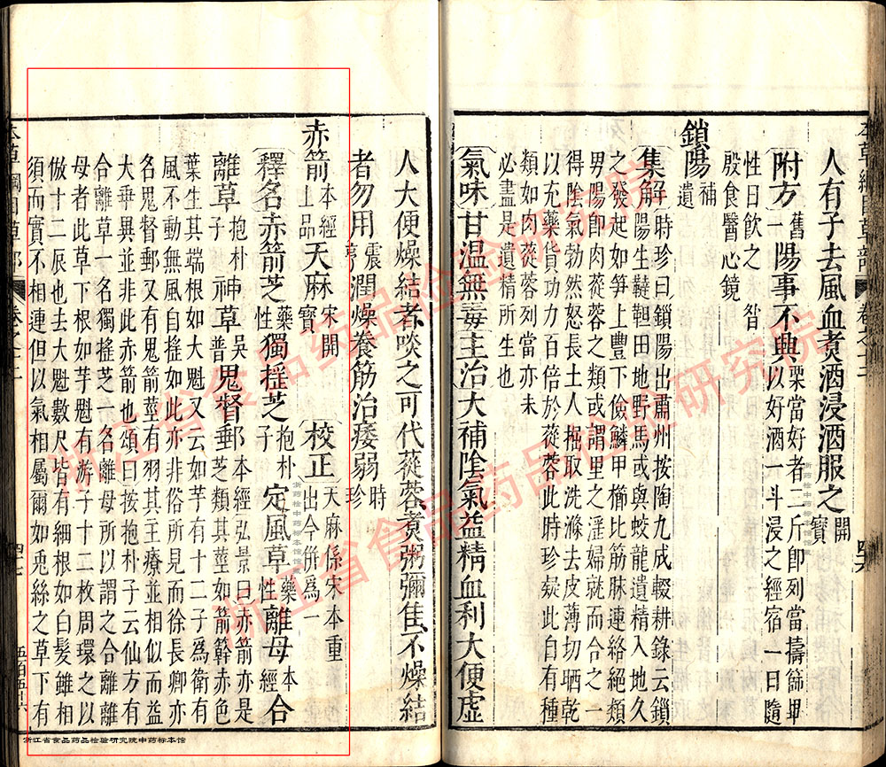 天麻 明 《本草纲目》 资料图