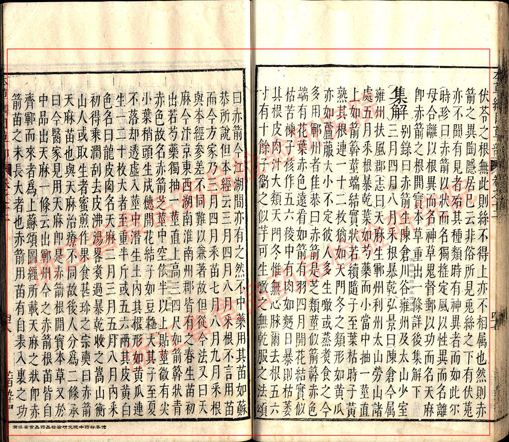 天麻 明 《本草纲目》 资料图