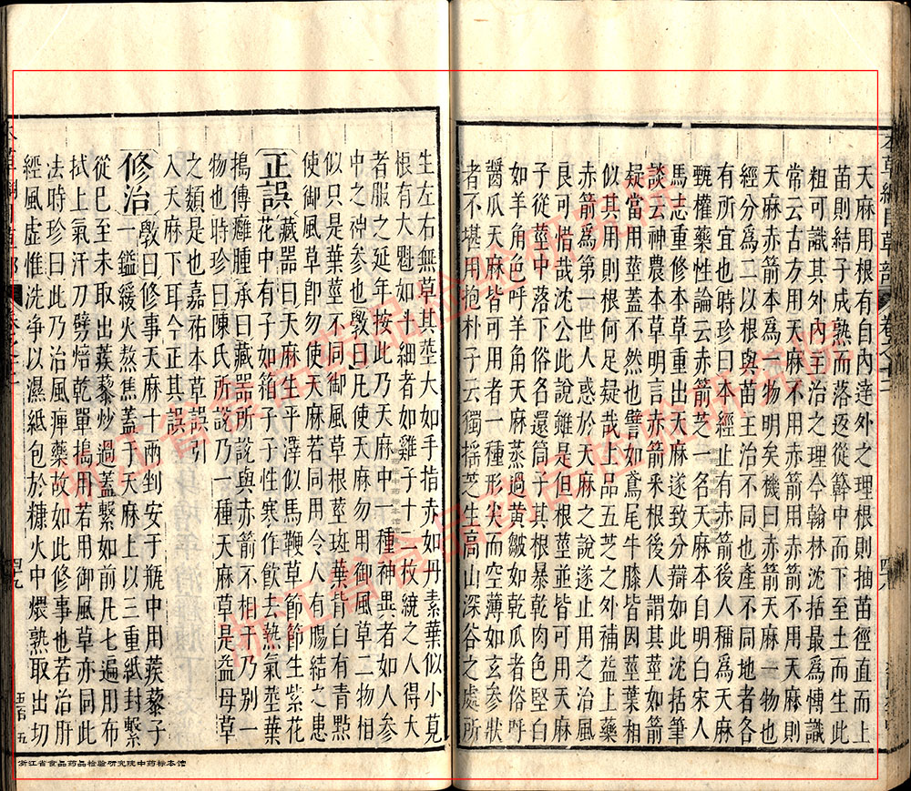 天麻 明 《本草纲目》 资料图