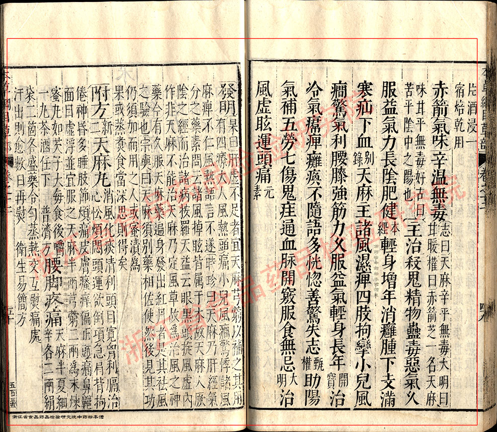天麻 明 《本草纲目》 资料图