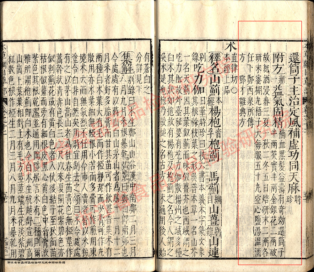 天麻 明 《本草纲目》 资料图