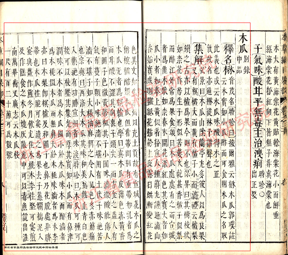 木瓜 明 《本草纲目》 资料图