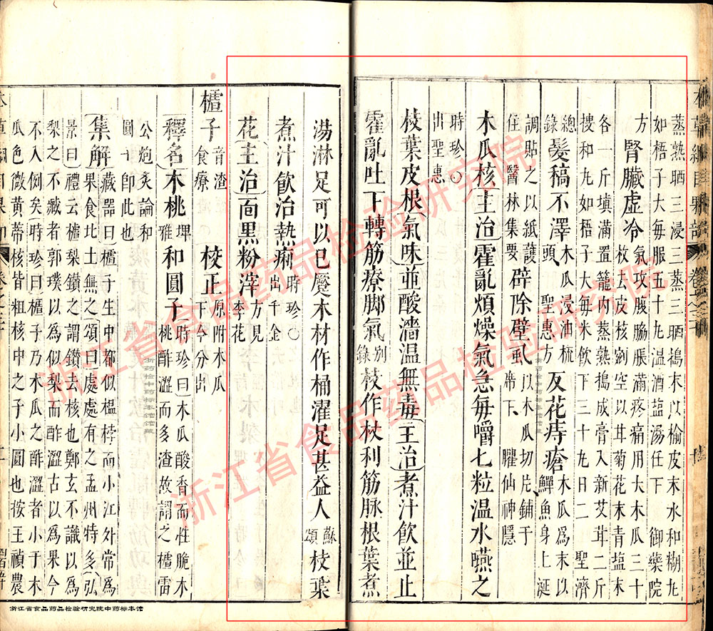 木瓜 明 《本草纲目》 资料图