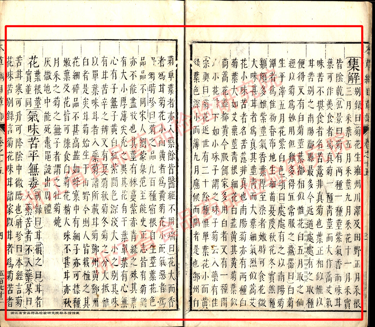 1678929087654076950.jpg 菊花 明 《本草纲目》 资料图