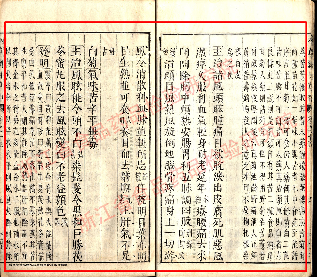 1678929095692091823.jpg 菊花 明 《本草纲目》 资料图