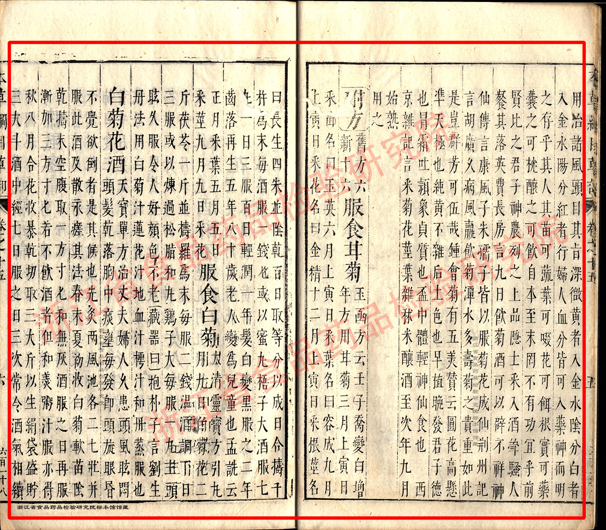 1678929103345040542.jpg 菊花 明 《本草纲目》 资料图