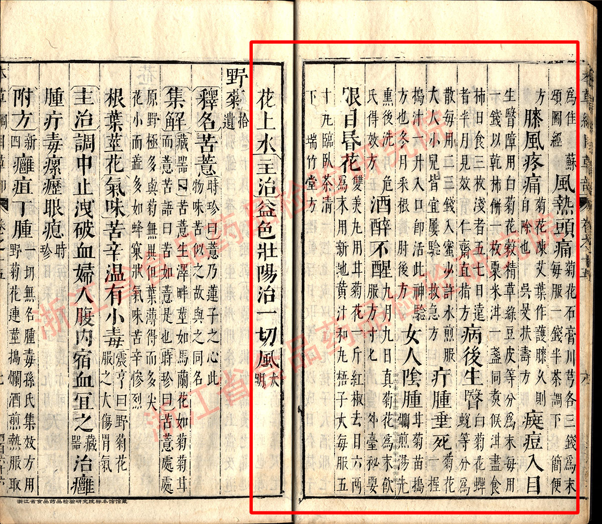 1678929110140004545.jpg 菊花 明 《本草纲目》 资料图
