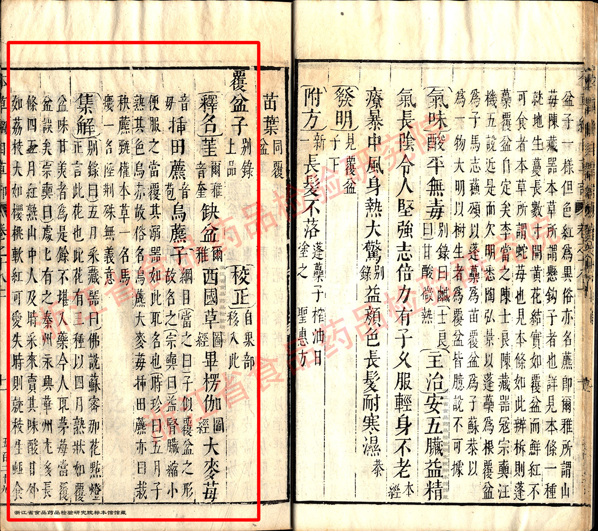 覆盆子 明-《本草纲目》 资料图