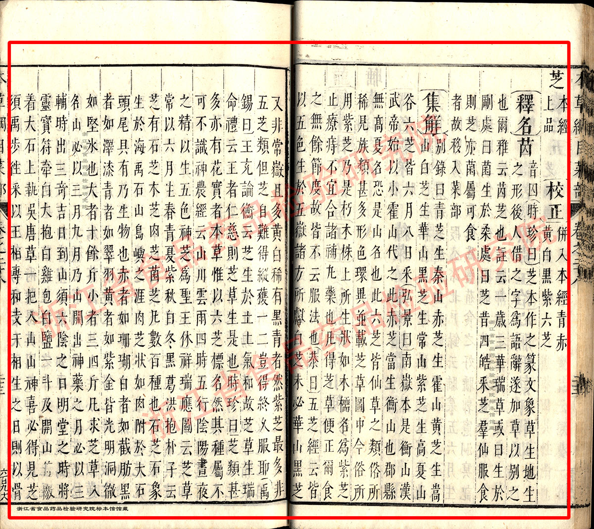 灵芝 明 《本草纲目》 资料图
