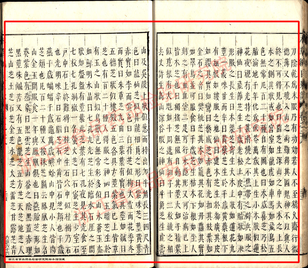 灵芝 明 《本草纲目》 资料图