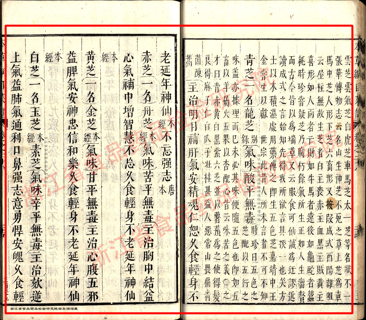 灵芝 明 《本草纲目》 资料图