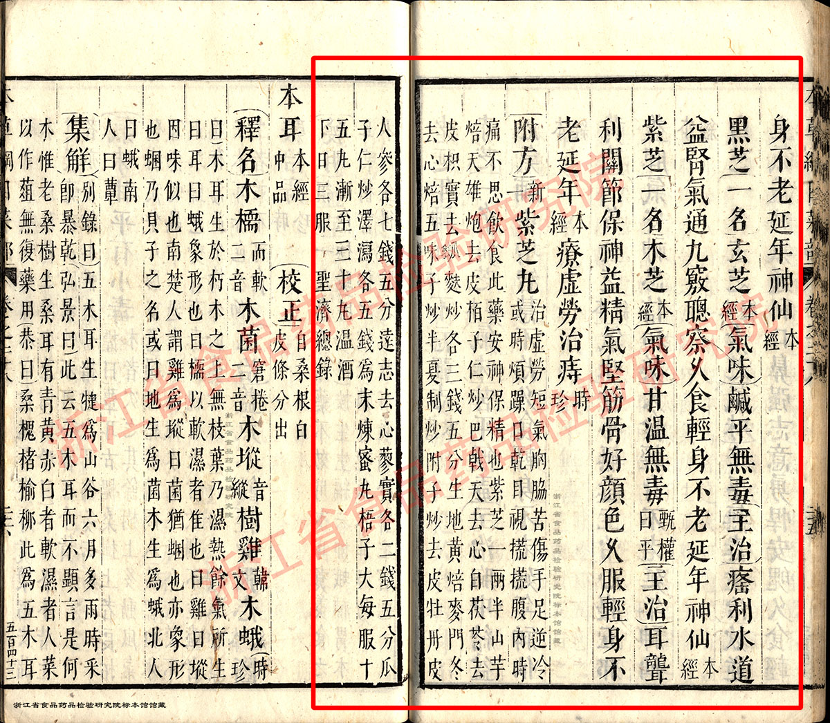灵芝 明 《本草纲目》 资料图