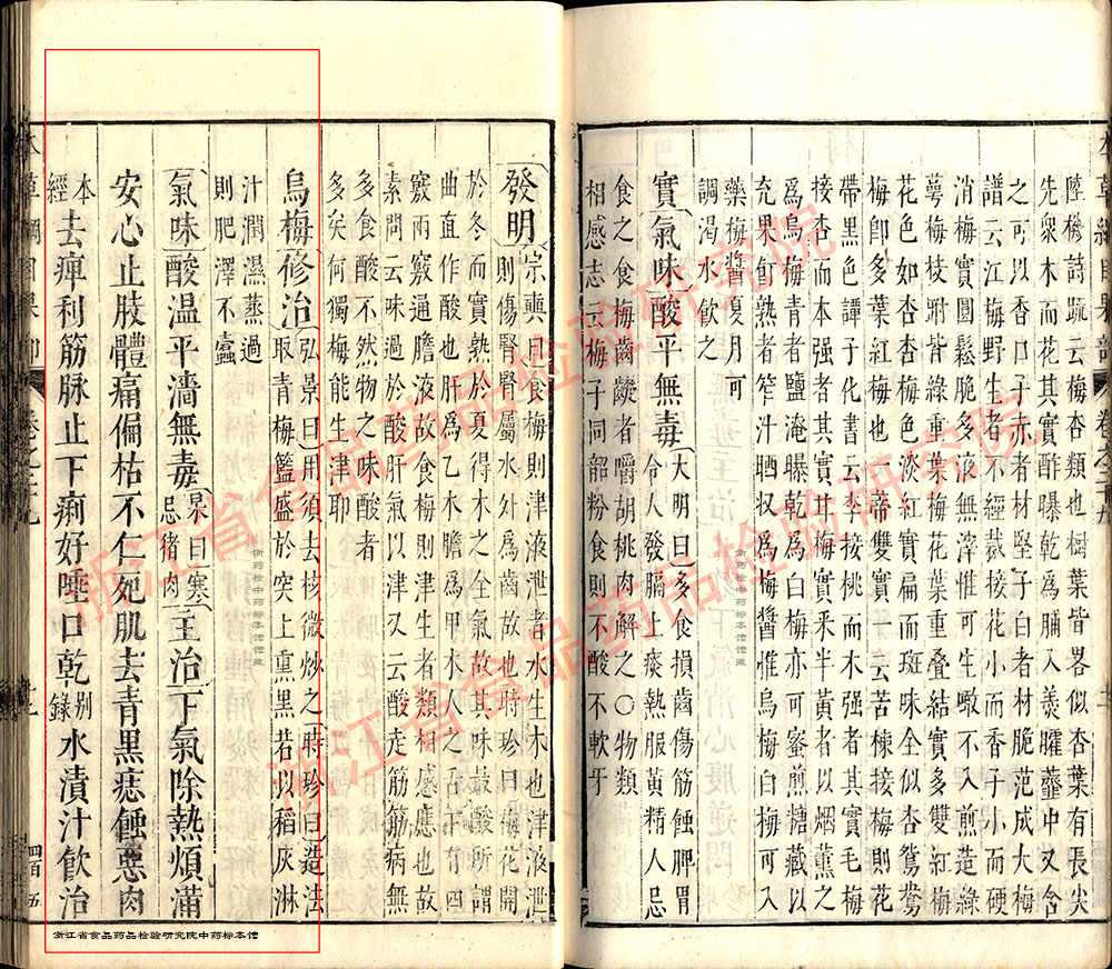 乌梅 明-《本草纲目》 资料图