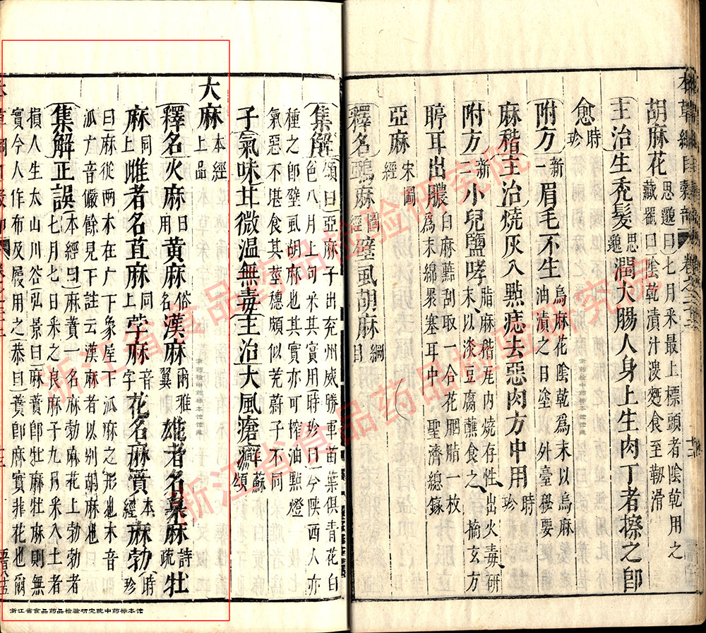 火麻仁 明-《本草纲目》 资料图