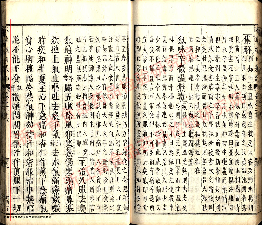 生姜 明-《本草纲目》 资料图