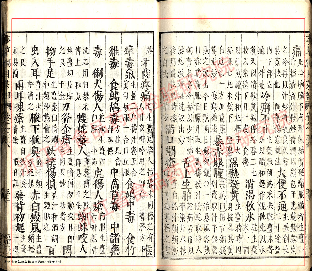生姜 明-《本草纲目》 资料图