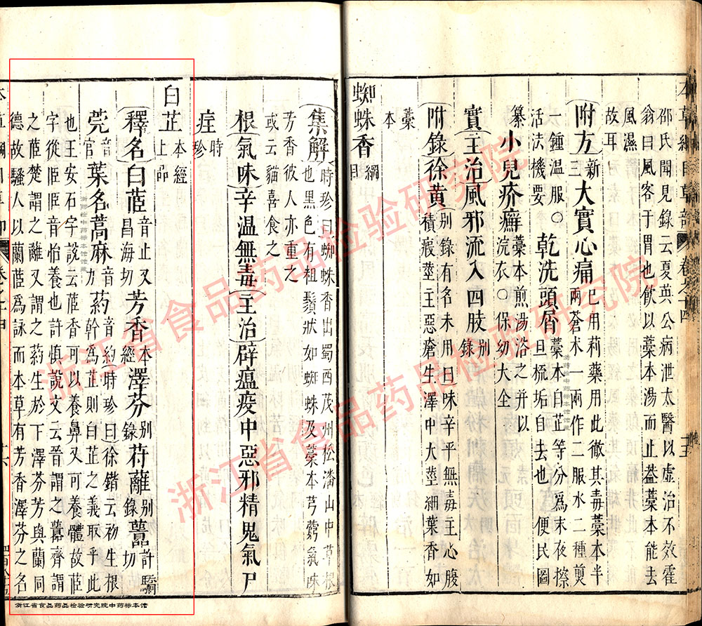 白芷 明-《本草纲目》 资料图