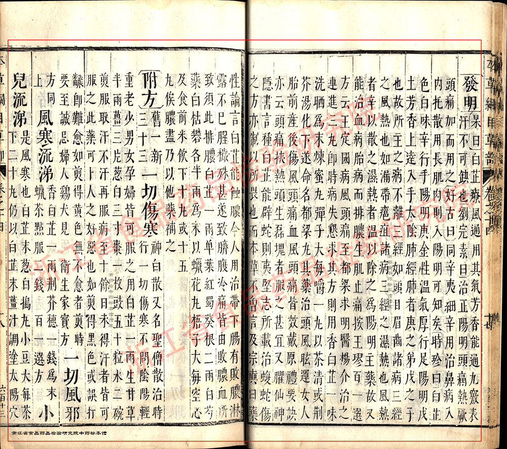 白芷 明-《本草纲目》 资料图