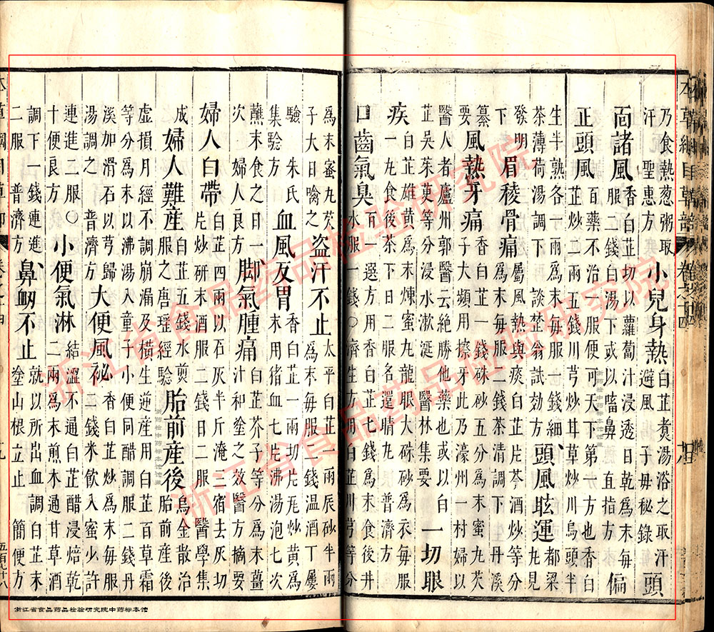 白芷 明-《本草纲目》 资料图