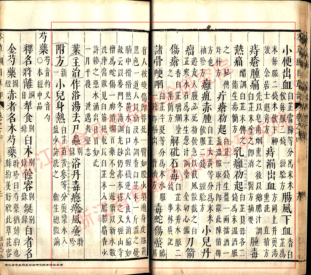 白芷 明-《本草纲目》 资料图