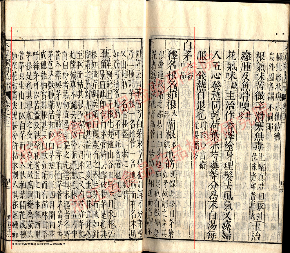 白茅根 明-《本草纲目》 资料图