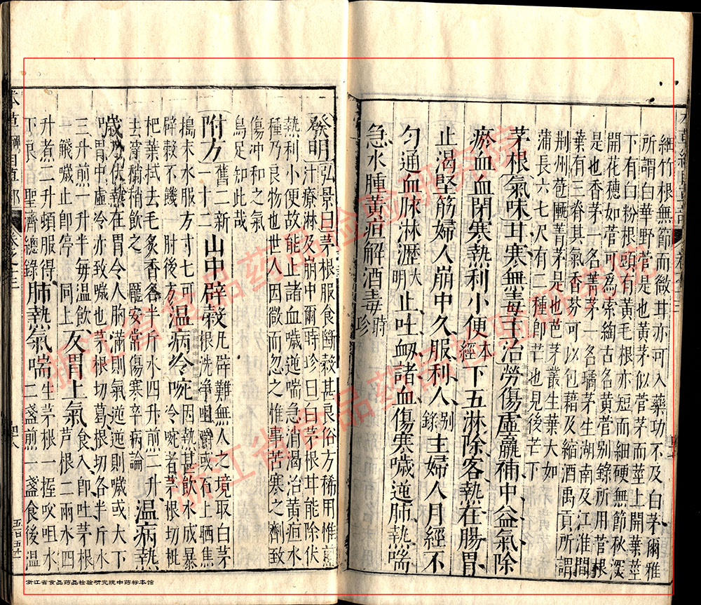 白茅根 明-《本草纲目》 资料图