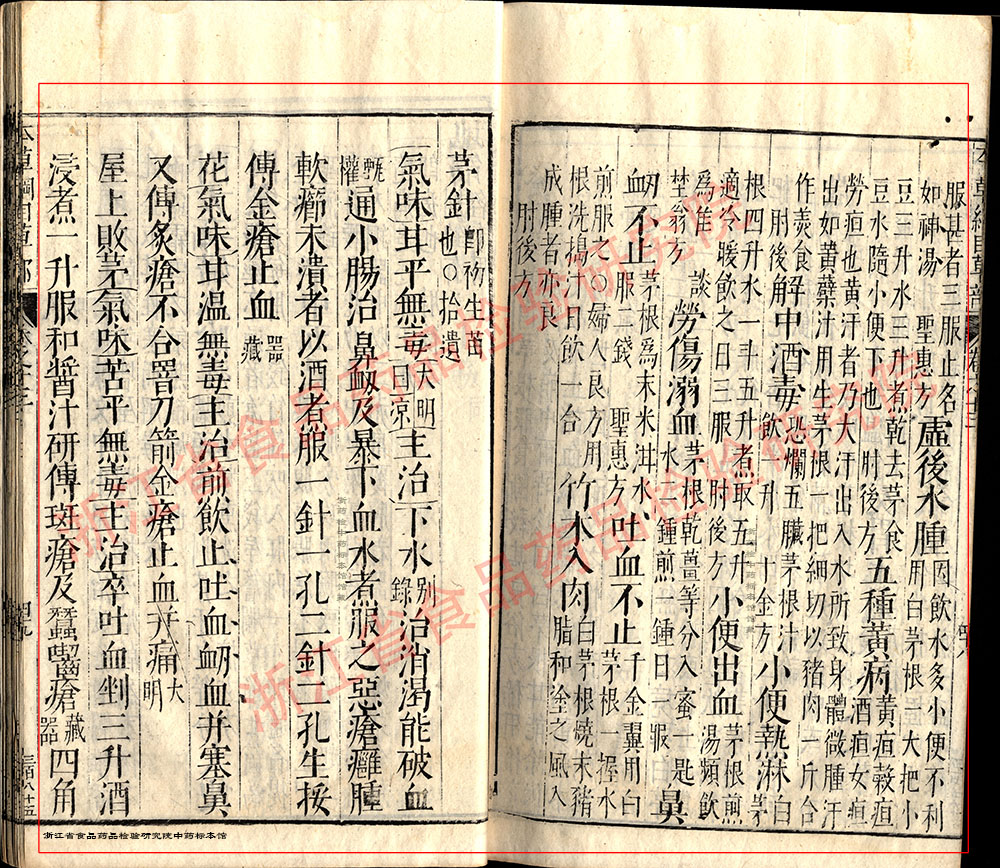 白茅根 明-《本草纲目》 资料图