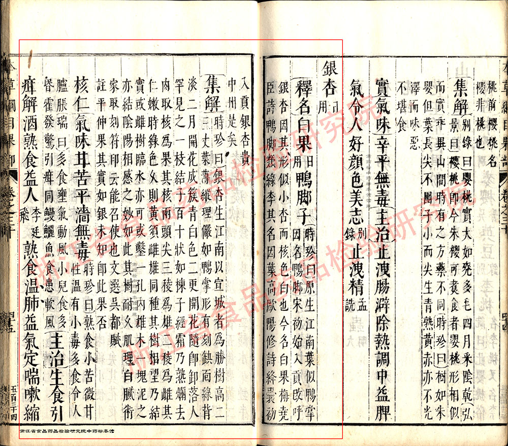 白果 明-《本草纲目》 资料图