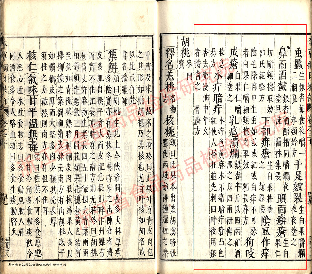 白果 明-《本草纲目》 资料图