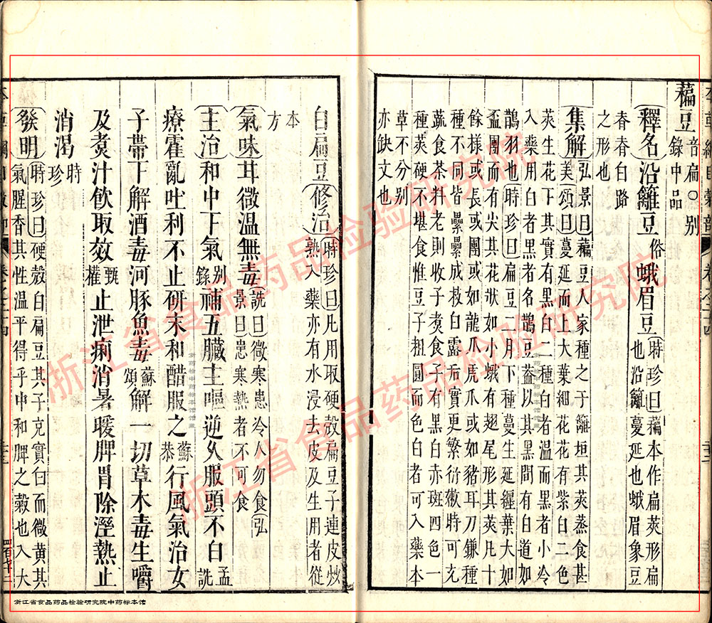 白扁豆 明代 《本草纲目》 资料图