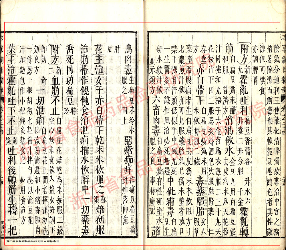 白扁豆 明代 《本草纲目》 资料图