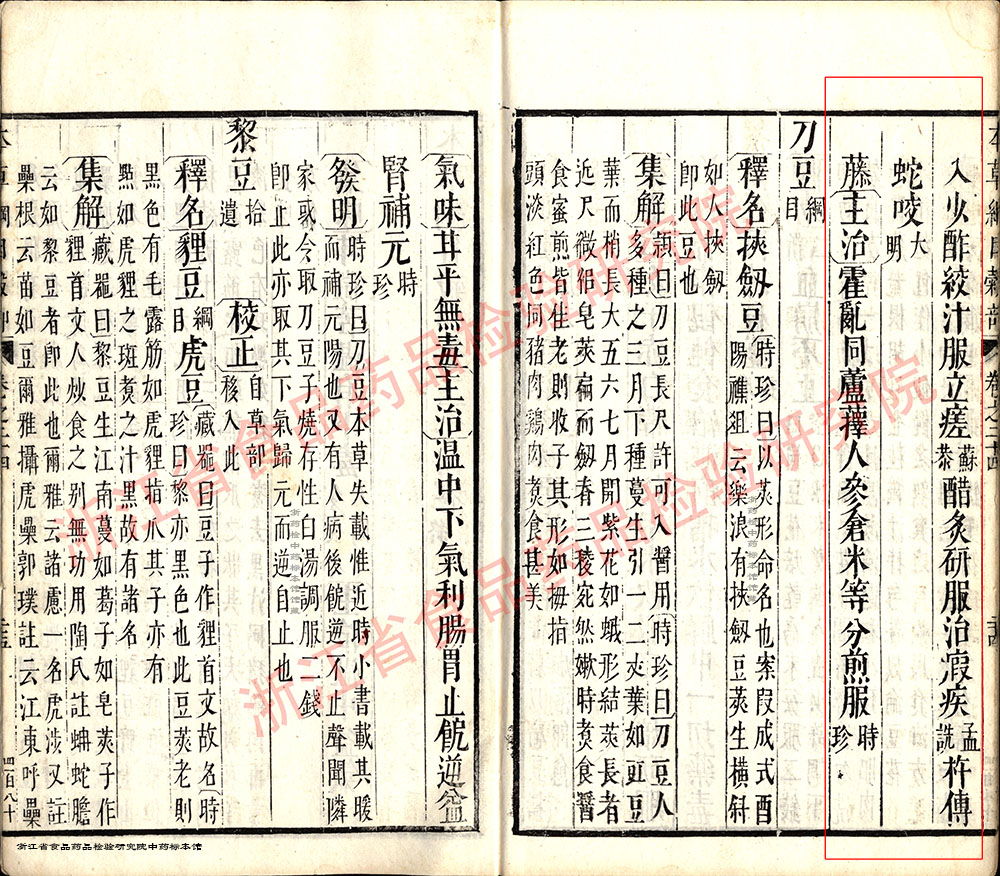 白扁豆 明代 《本草纲目》 资料图