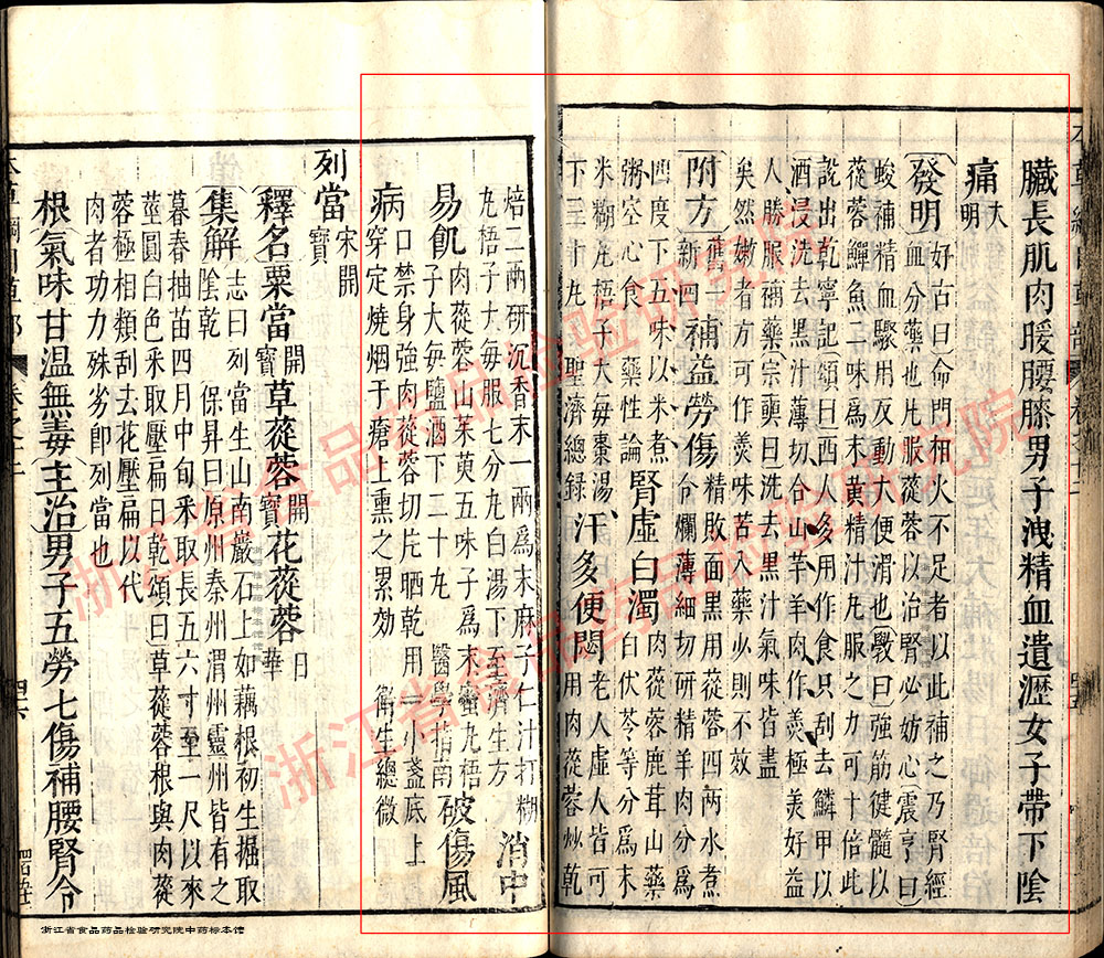 肉苁蓉 明 《本草纲目》 资料图
