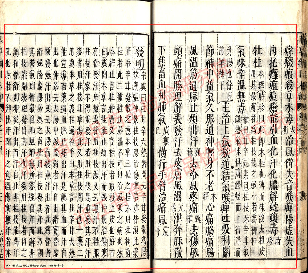 肉桂 明 《本草纲目》 资料图