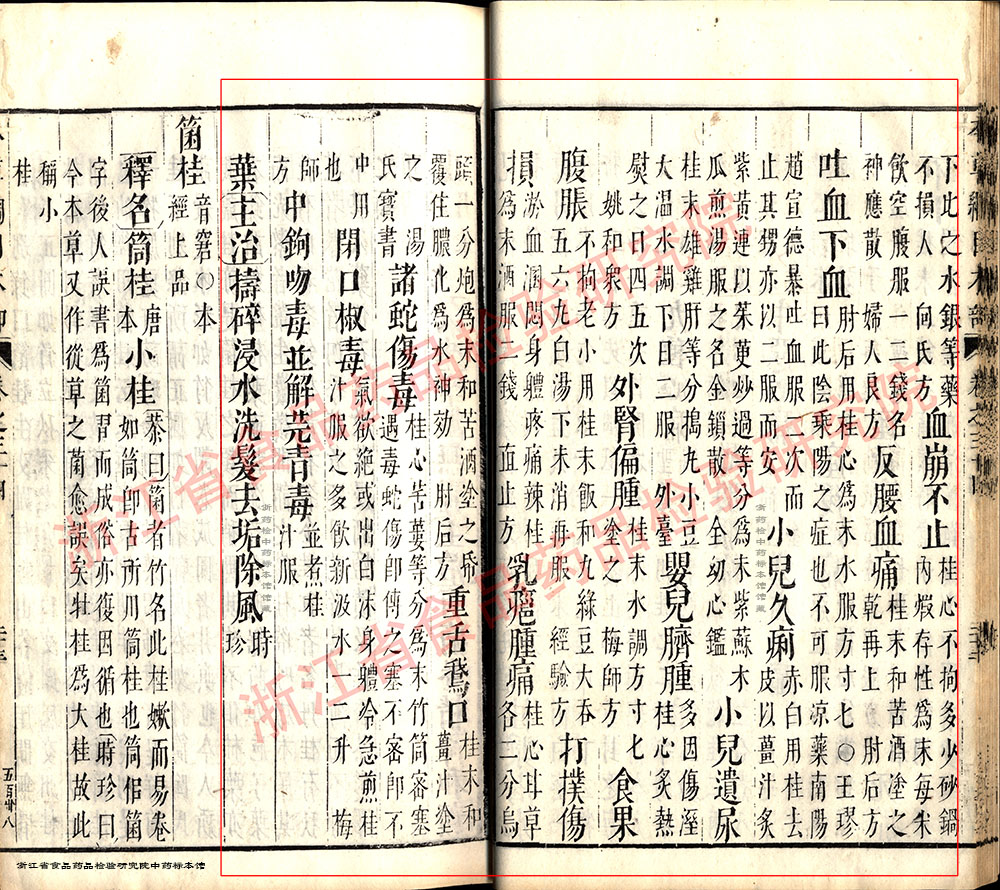 肉桂 明 《本草纲目》 资料图