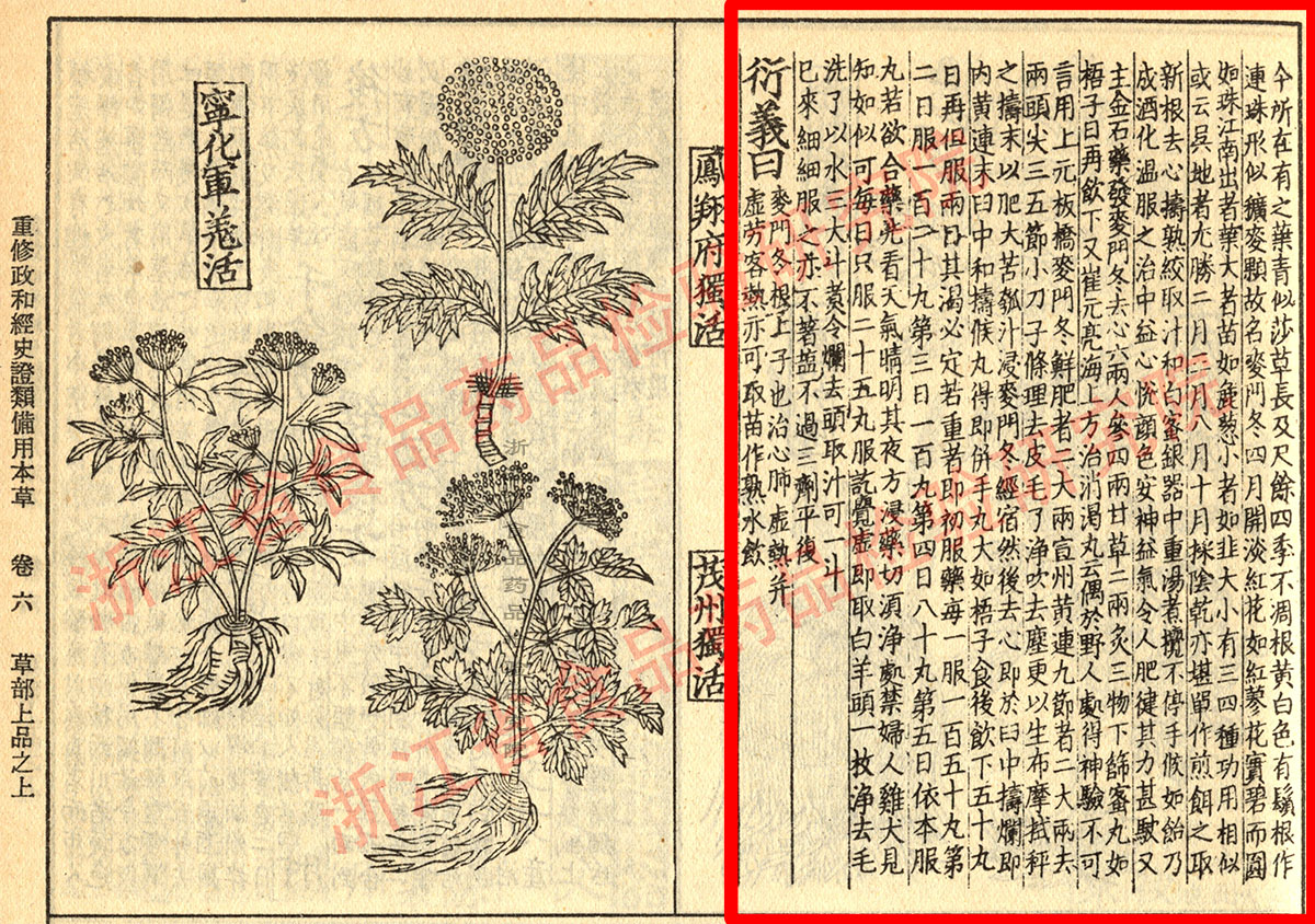 麦冬 宋-《证类本草》 资料图
