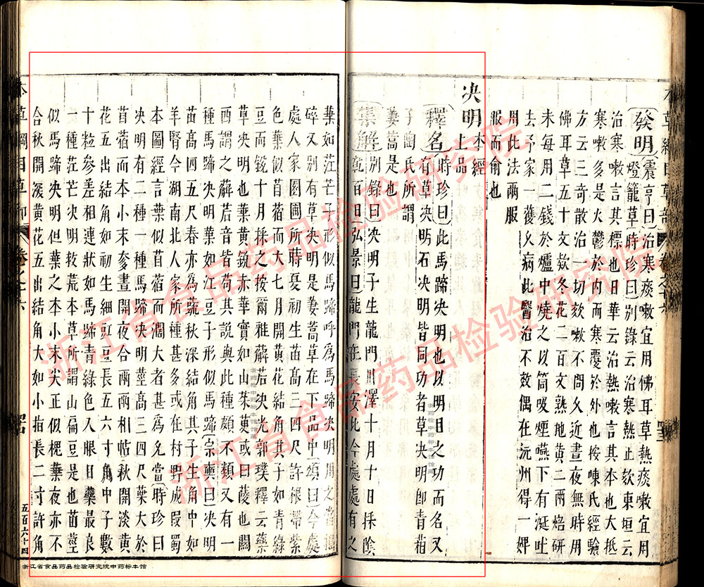 决明子 明  《本草纲目》 资料图