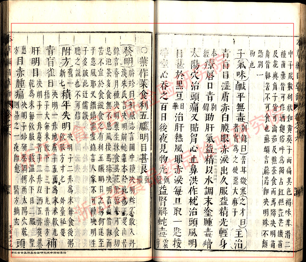 决明子 明  《本草纲目》 资料图