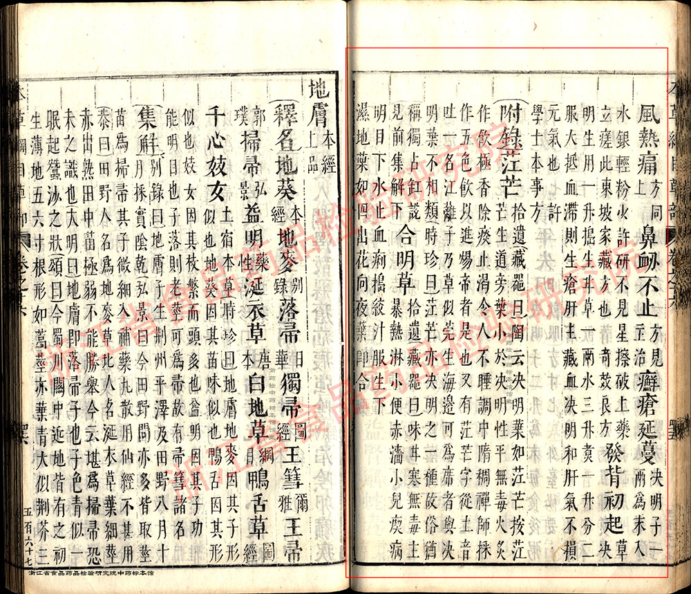 决明子 明  《本草纲目》 资料图